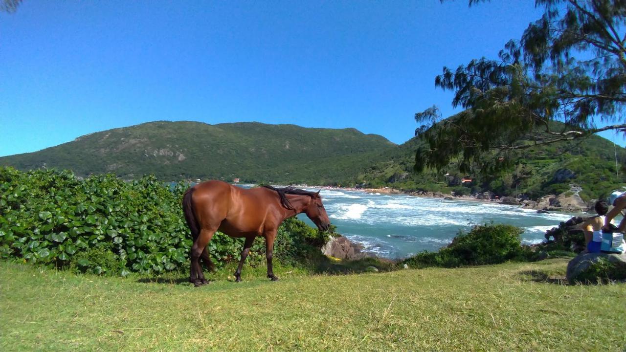 Chale Praia Da Armacao Florianópolis Exterior foto